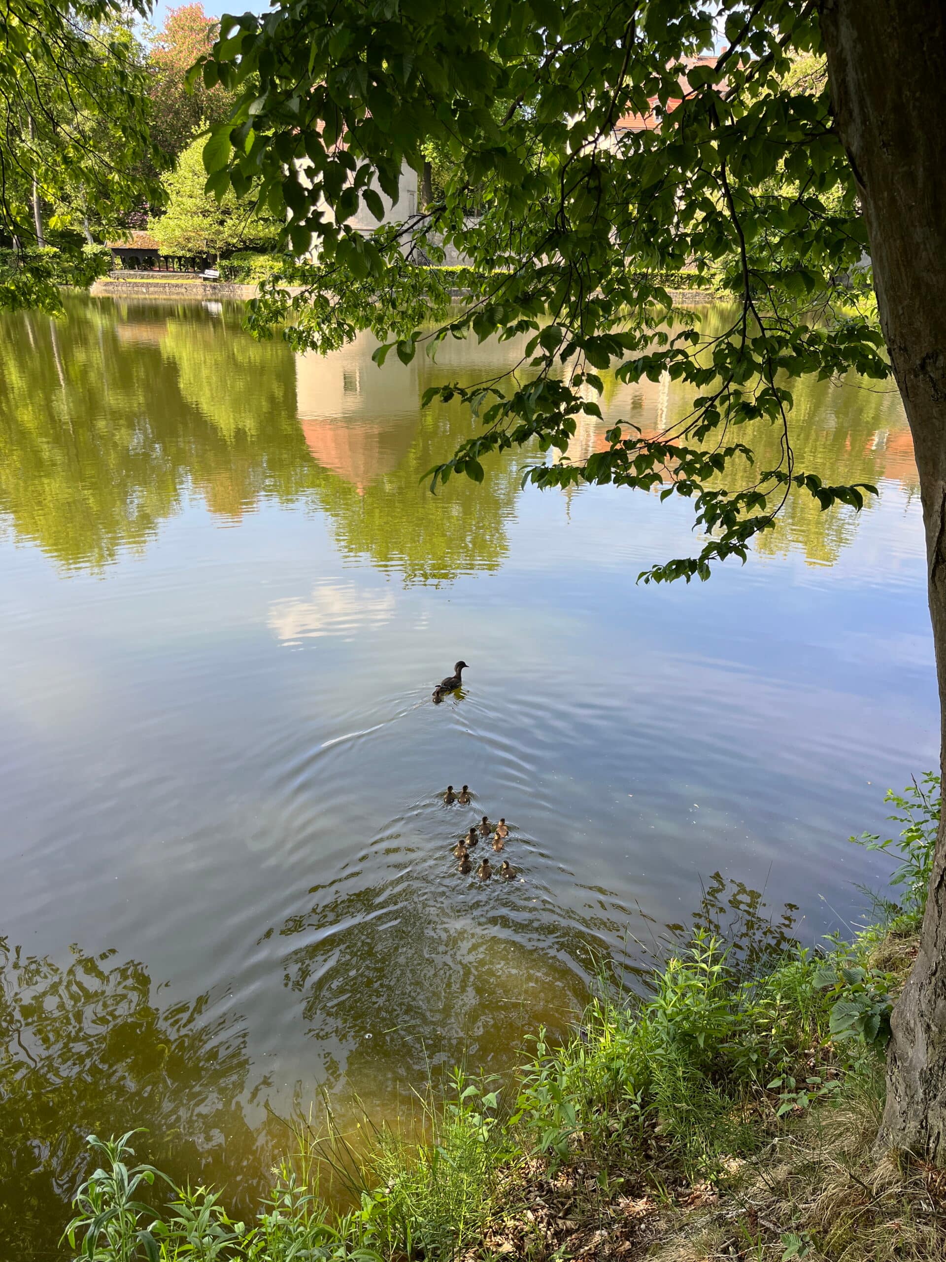 Spaziergang im Hermsdorfer Park
