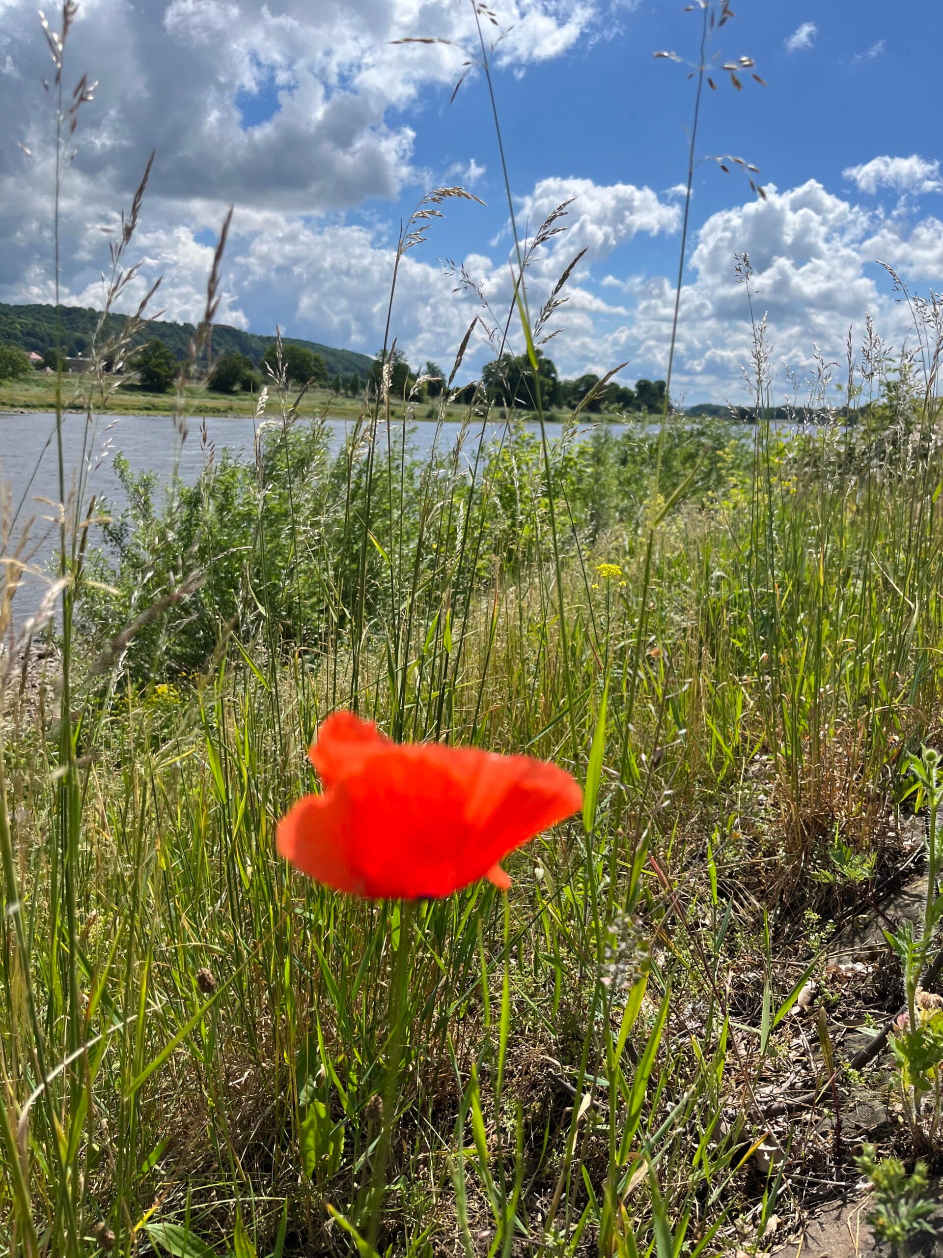 Spaziergang am Laubegaster Ufer